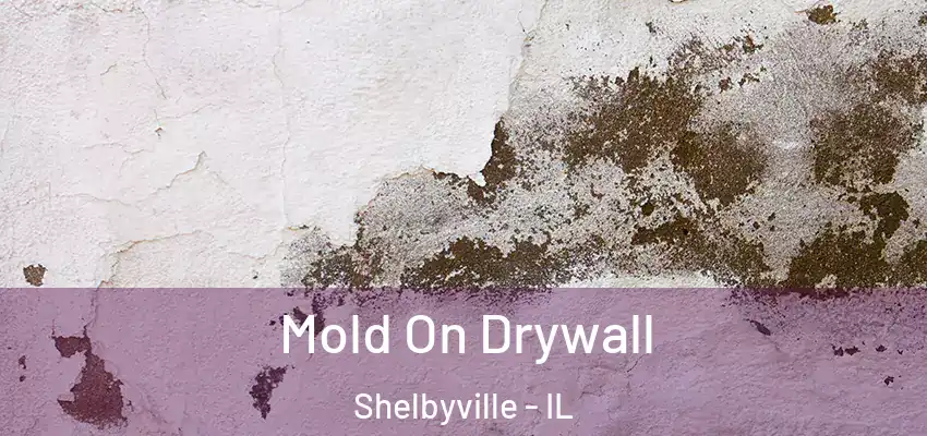  Mold On Drywall Shelbyville - IL