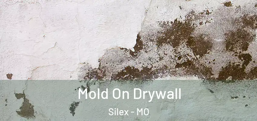 Mold On Drywall Silex - MO