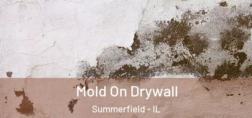  Mold On Drywall Summerfield - IL