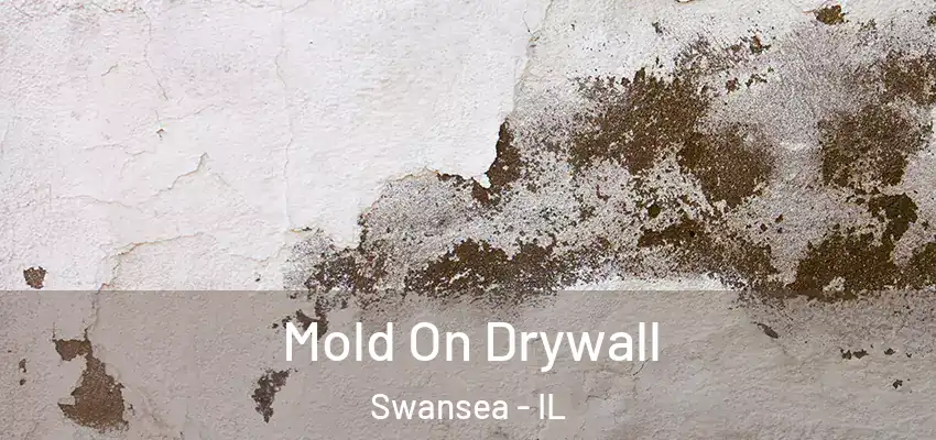  Mold On Drywall Swansea - IL