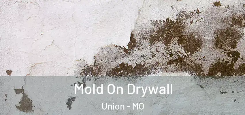  Mold On Drywall Union - MO