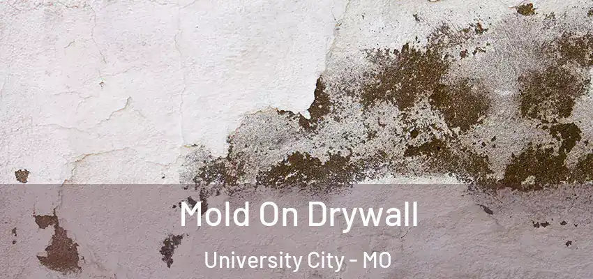  Mold On Drywall University City - MO