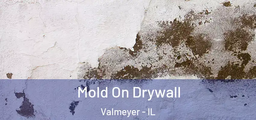  Mold On Drywall Valmeyer - IL