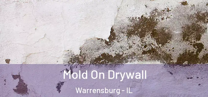  Mold On Drywall Warrensburg - IL