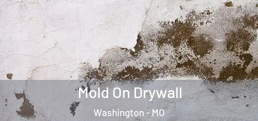 Mold On Drywall Washington - MO