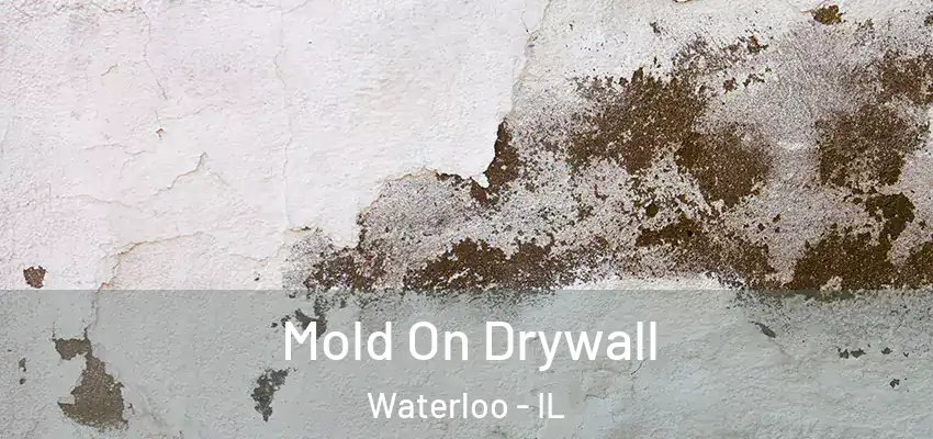  Mold On Drywall Waterloo - IL