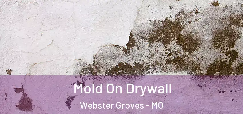  Mold On Drywall Webster Groves - MO