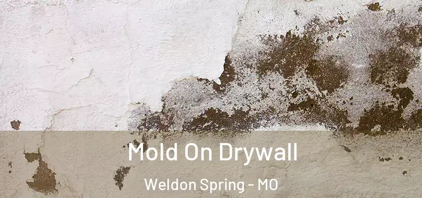  Mold On Drywall Weldon Spring - MO