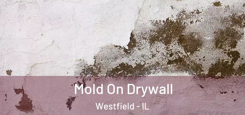  Mold On Drywall Westfield - IL