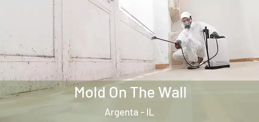  Mold On The Wall Argenta - IL