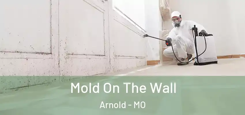  Mold On The Wall Arnold - MO