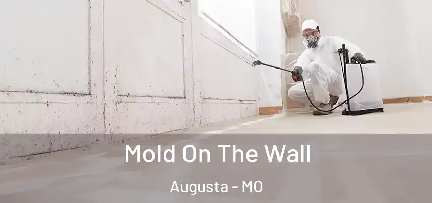  Mold On The Wall Augusta - MO