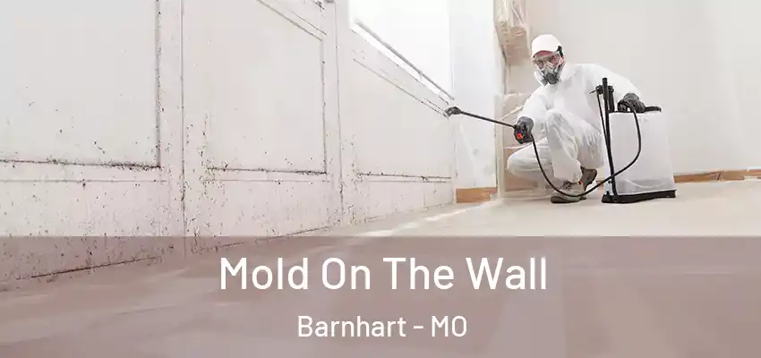  Mold On The Wall Barnhart - MO