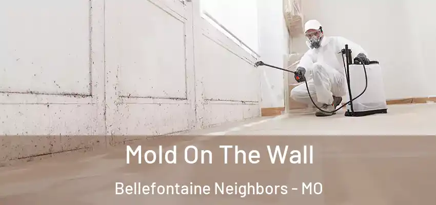  Mold On The Wall Bellefontaine Neighbors - MO