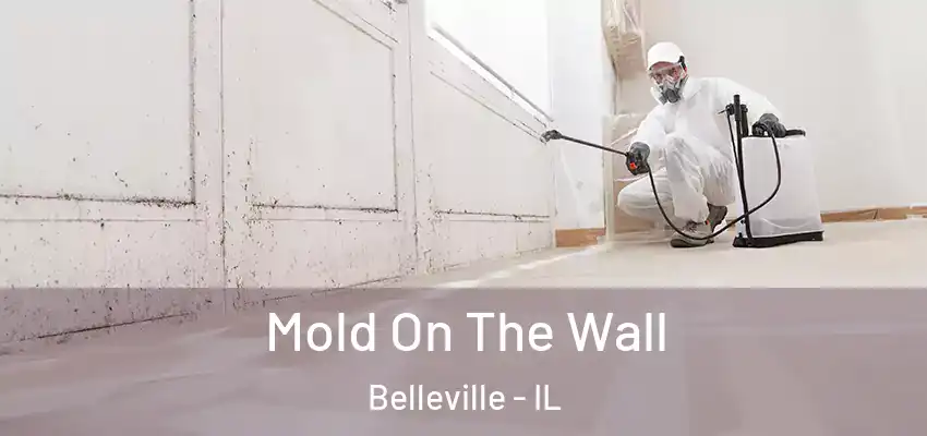  Mold On The Wall Belleville - IL