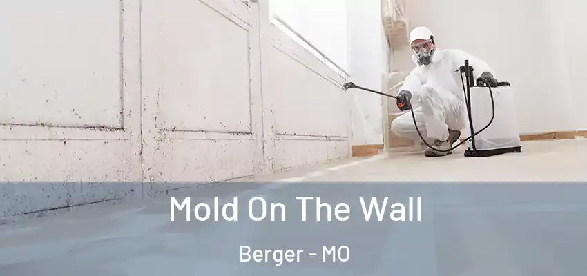  Mold On The Wall Berger - MO