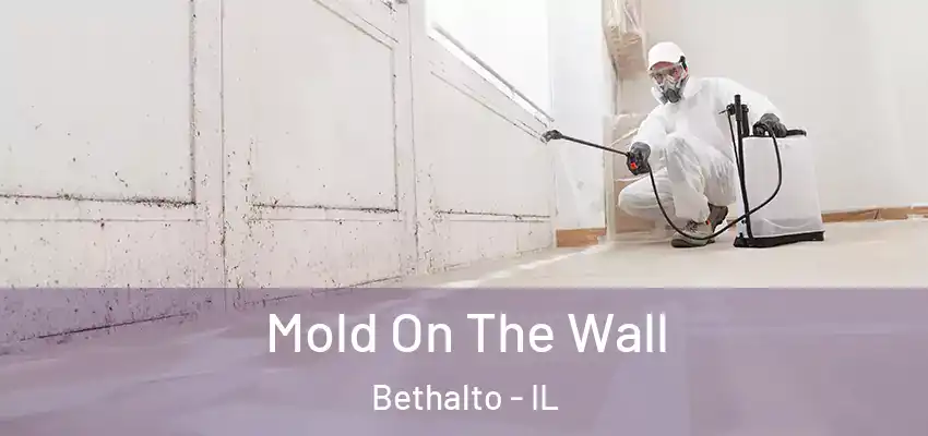  Mold On The Wall Bethalto - IL