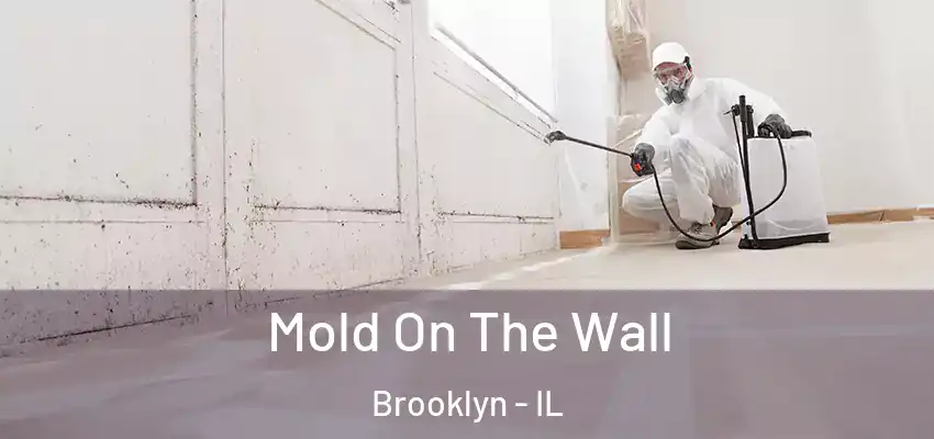  Mold On The Wall Brooklyn - IL