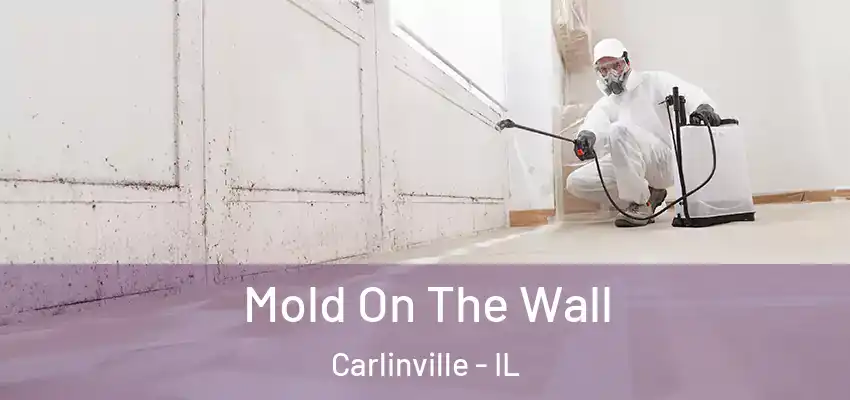 Mold On The Wall Carlinville - IL