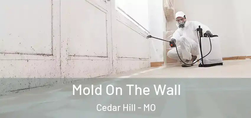  Mold On The Wall Cedar Hill - MO