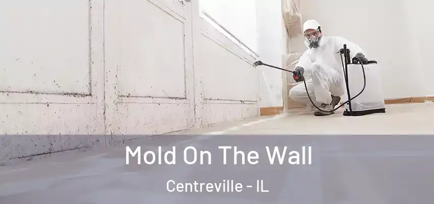  Mold On The Wall Centreville - IL