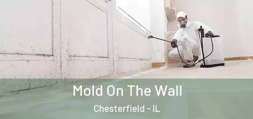  Mold On The Wall Chesterfield - IL
