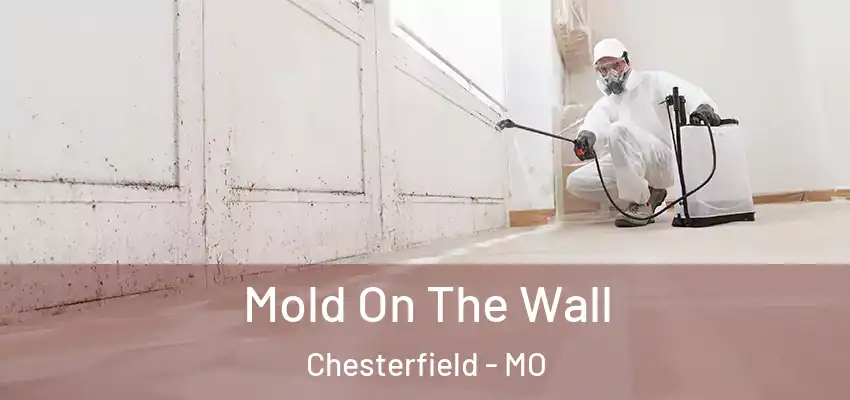  Mold On The Wall Chesterfield - MO