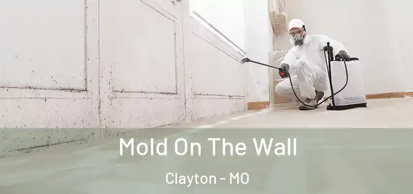  Mold On The Wall Clayton - MO