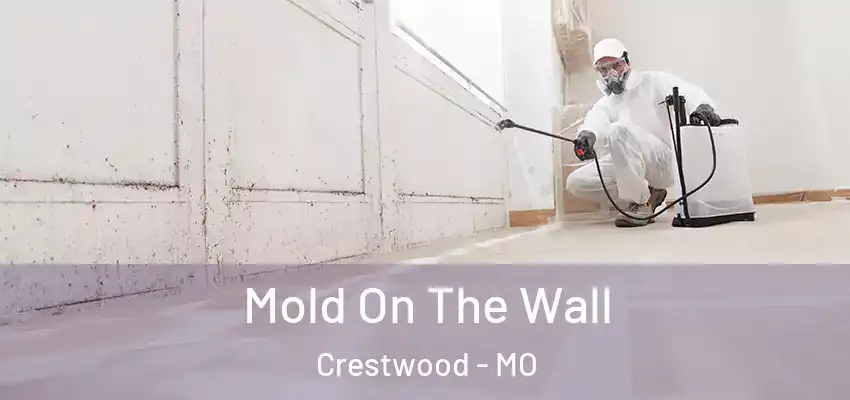  Mold On The Wall Crestwood - MO