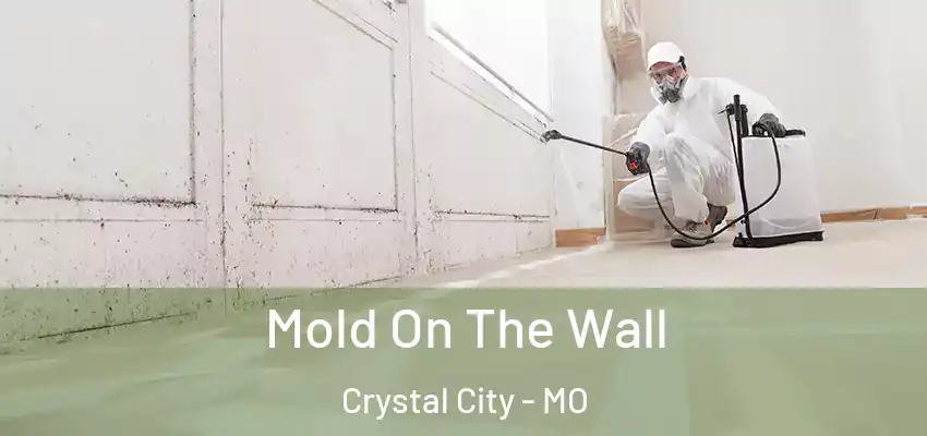  Mold On The Wall Crystal City - MO