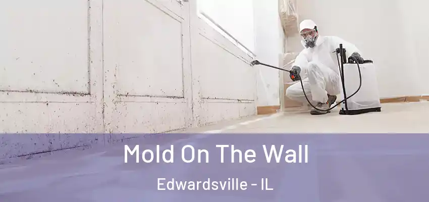  Mold On The Wall Edwardsville - IL