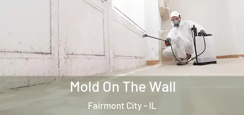Mold On The Wall Fairmont City - IL