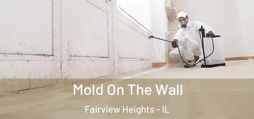  Mold On The Wall Fairview Heights - IL