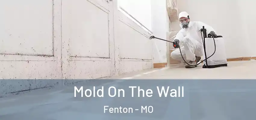  Mold On The Wall Fenton - MO