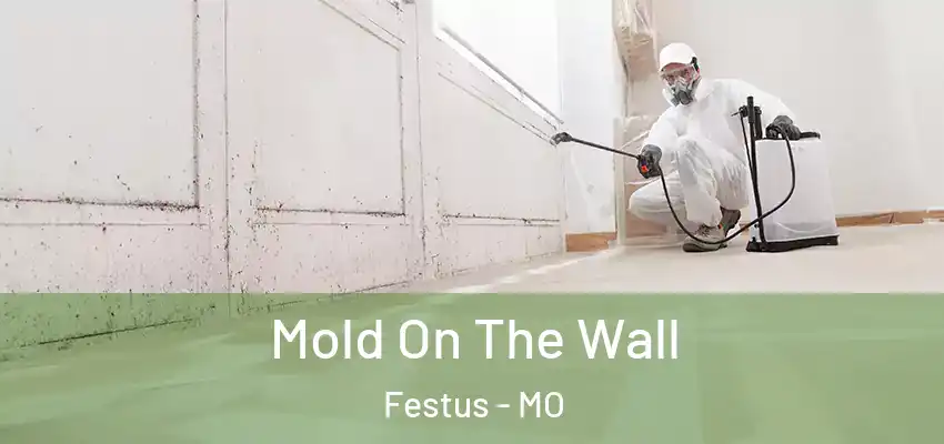 Mold On The Wall Festus - MO