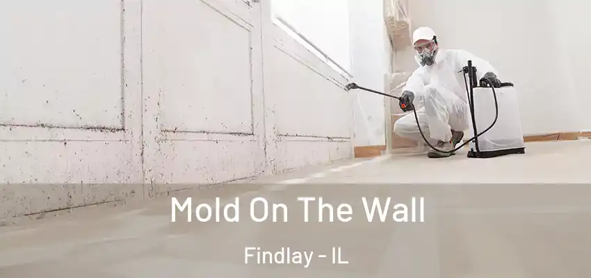  Mold On The Wall Findlay - IL