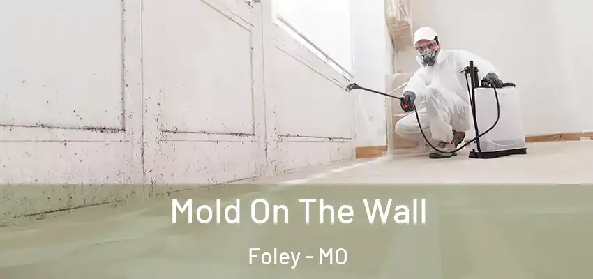 Mold On The Wall Foley - MO