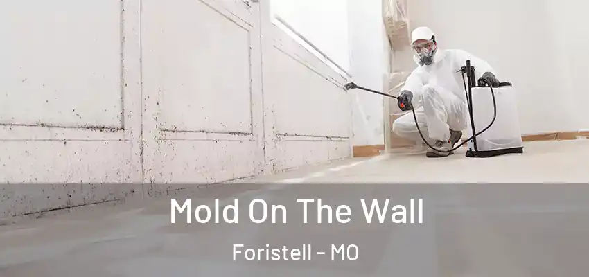  Mold On The Wall Foristell - MO