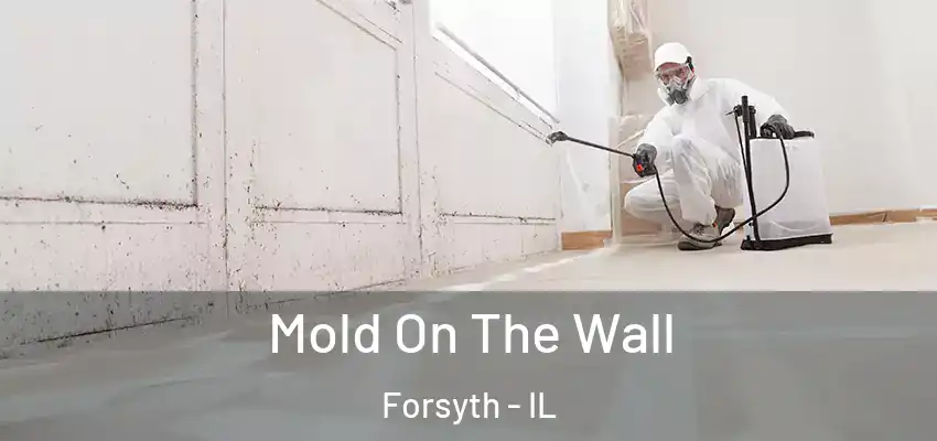  Mold On The Wall Forsyth - IL