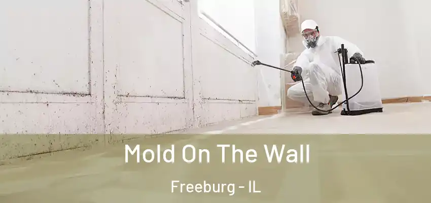  Mold On The Wall Freeburg - IL