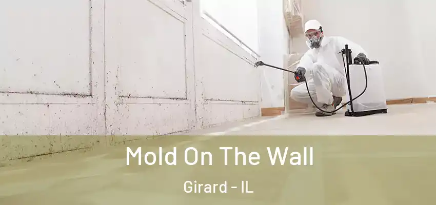  Mold On The Wall Girard - IL