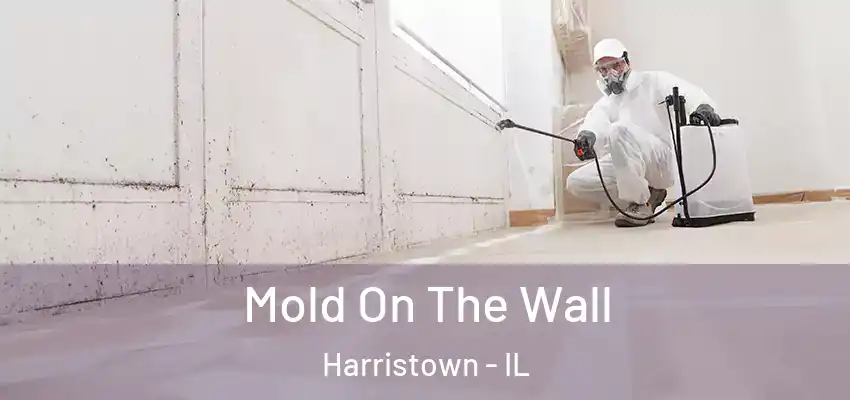  Mold On The Wall Harristown - IL