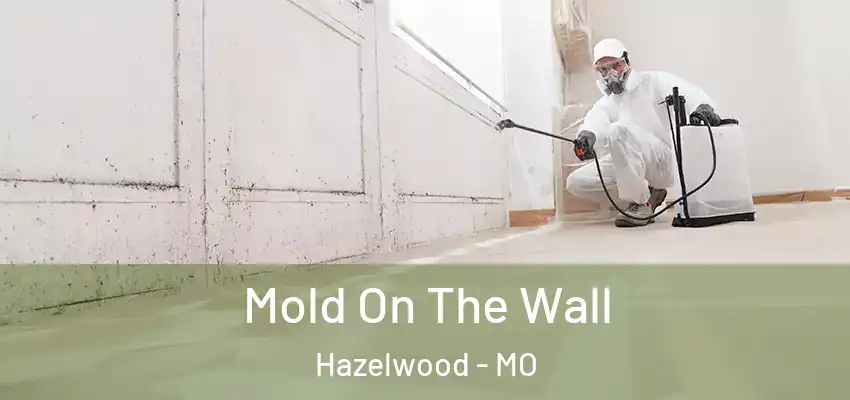  Mold On The Wall Hazelwood - MO