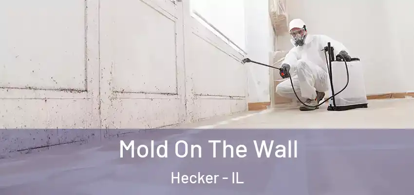  Mold On The Wall Hecker - IL