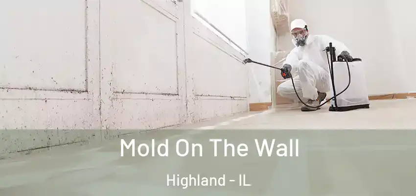  Mold On The Wall Highland - IL