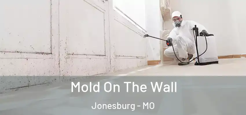  Mold On The Wall Jonesburg - MO