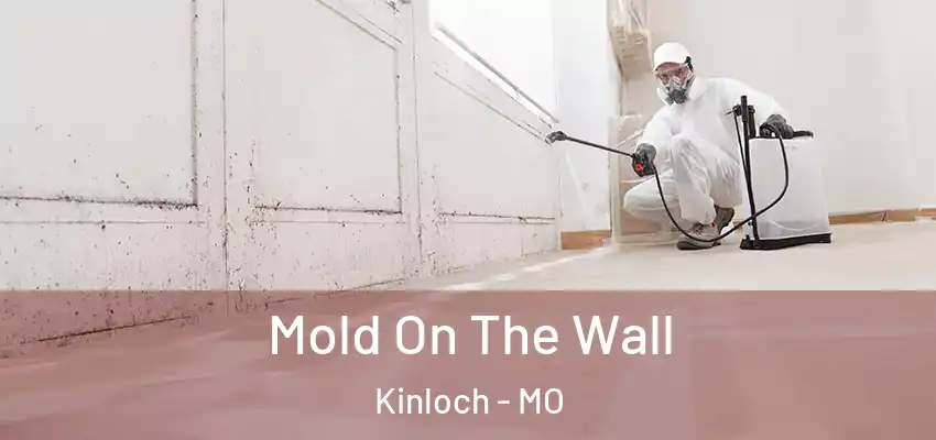  Mold On The Wall Kinloch - MO