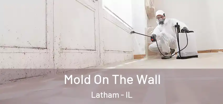  Mold On The Wall Latham - IL