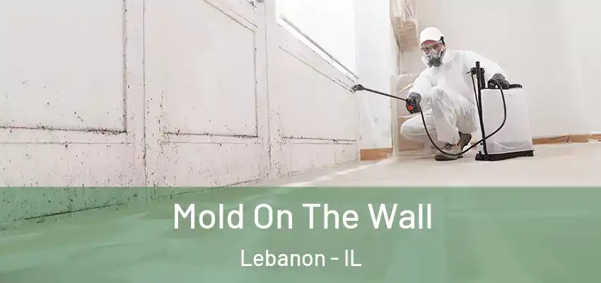  Mold On The Wall Lebanon - IL