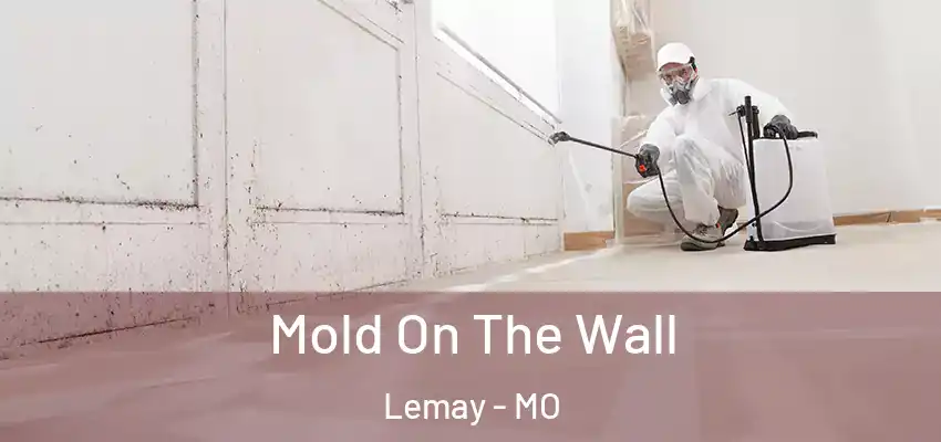 Mold On The Wall Lemay - MO